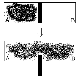 �G���g���s�[�̑���